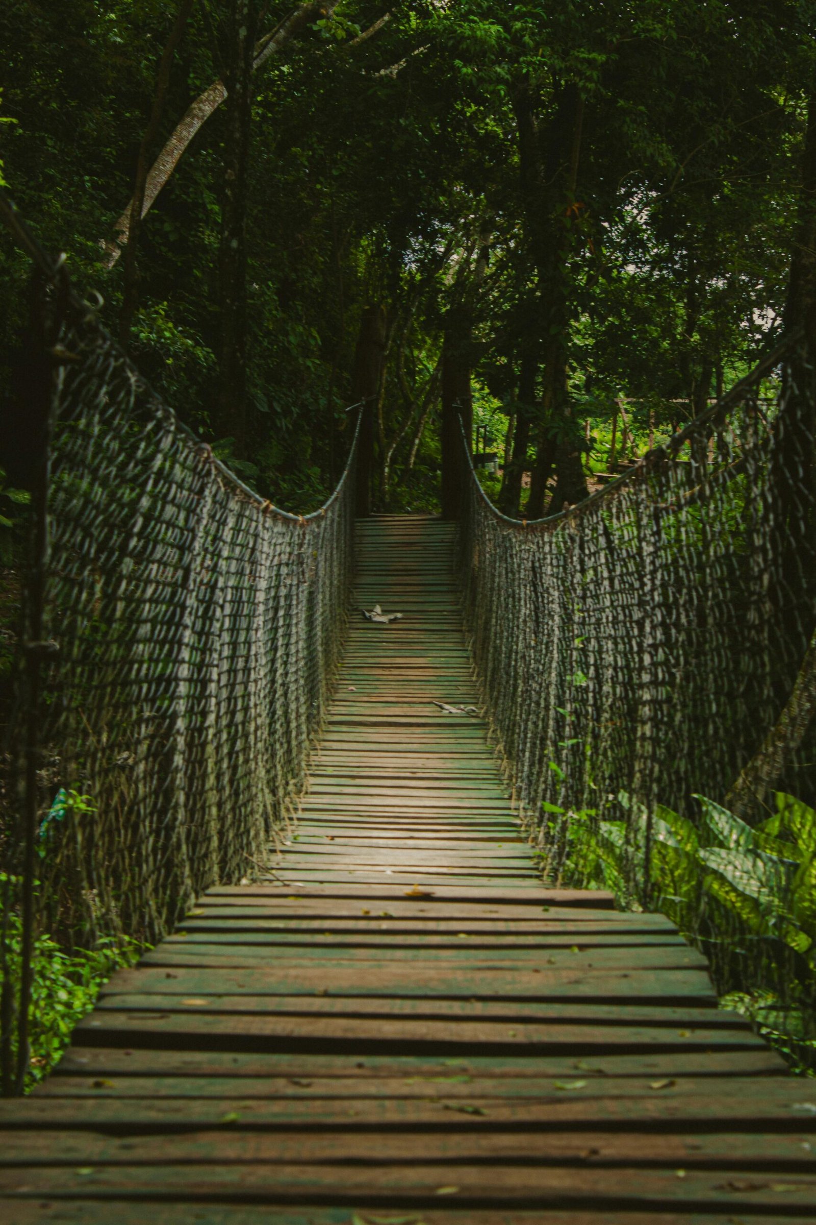 Discover the adventurous charm of a wooden suspension bridge in a lush tropical Nicaraguan forest.